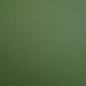 Meet your Posher, Jocelyn